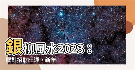 銀柳風水2023|銀柳風水2023：哪些位置最旺財運？